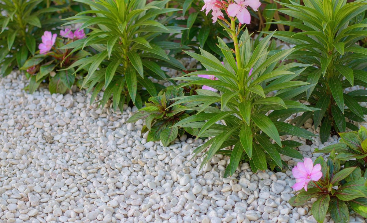 White pebbles topping a planted flower bed