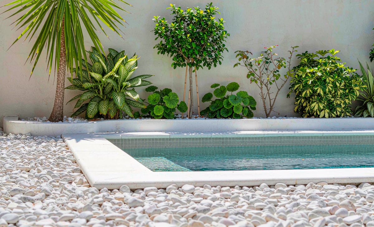 White pebbles in poolside landscaping