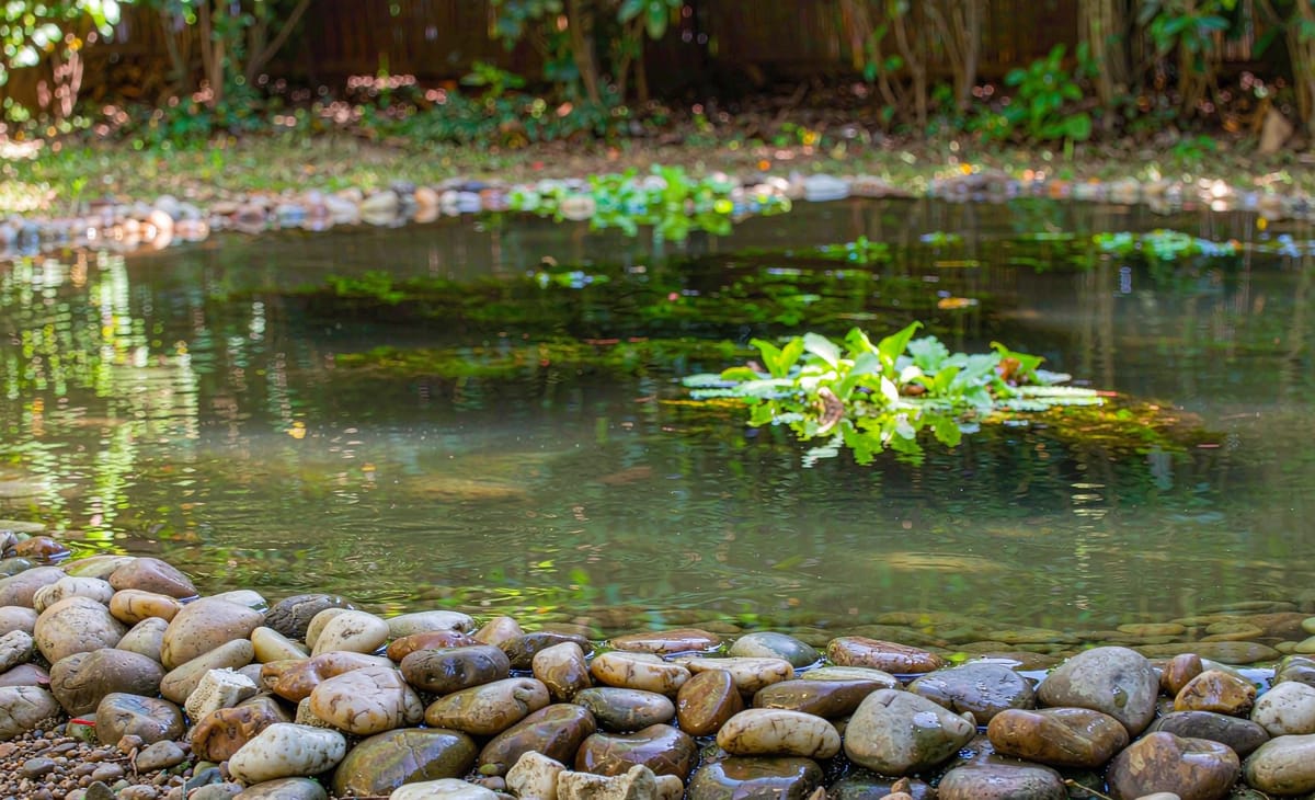 Water-worn pebbles around a garden pond edge
