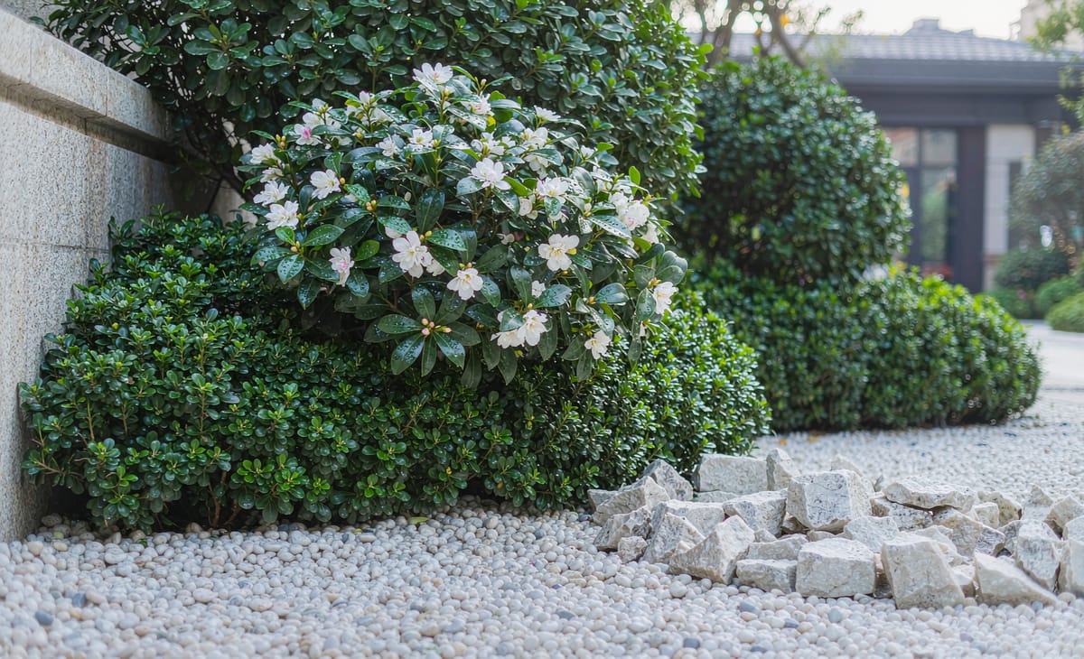 White pebbles used as ground cover in a modern garden