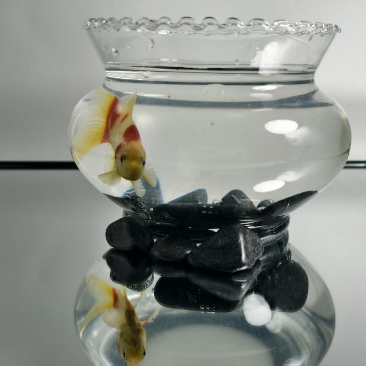 Black pebbles arranged in a decorative glass bowl