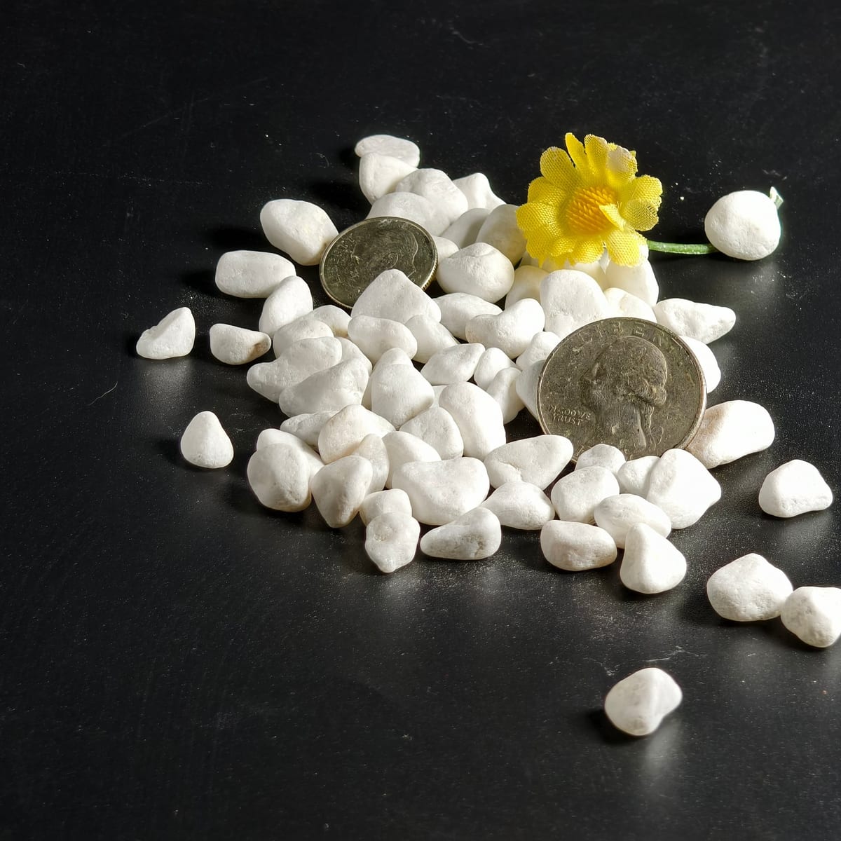 White decorative pebbles shown with a coin for size reference