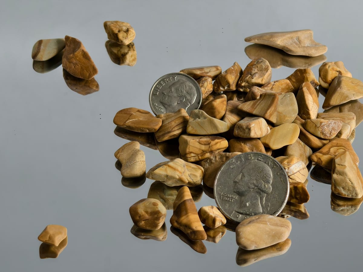 Garden stone pieces shown with a coin for size reference