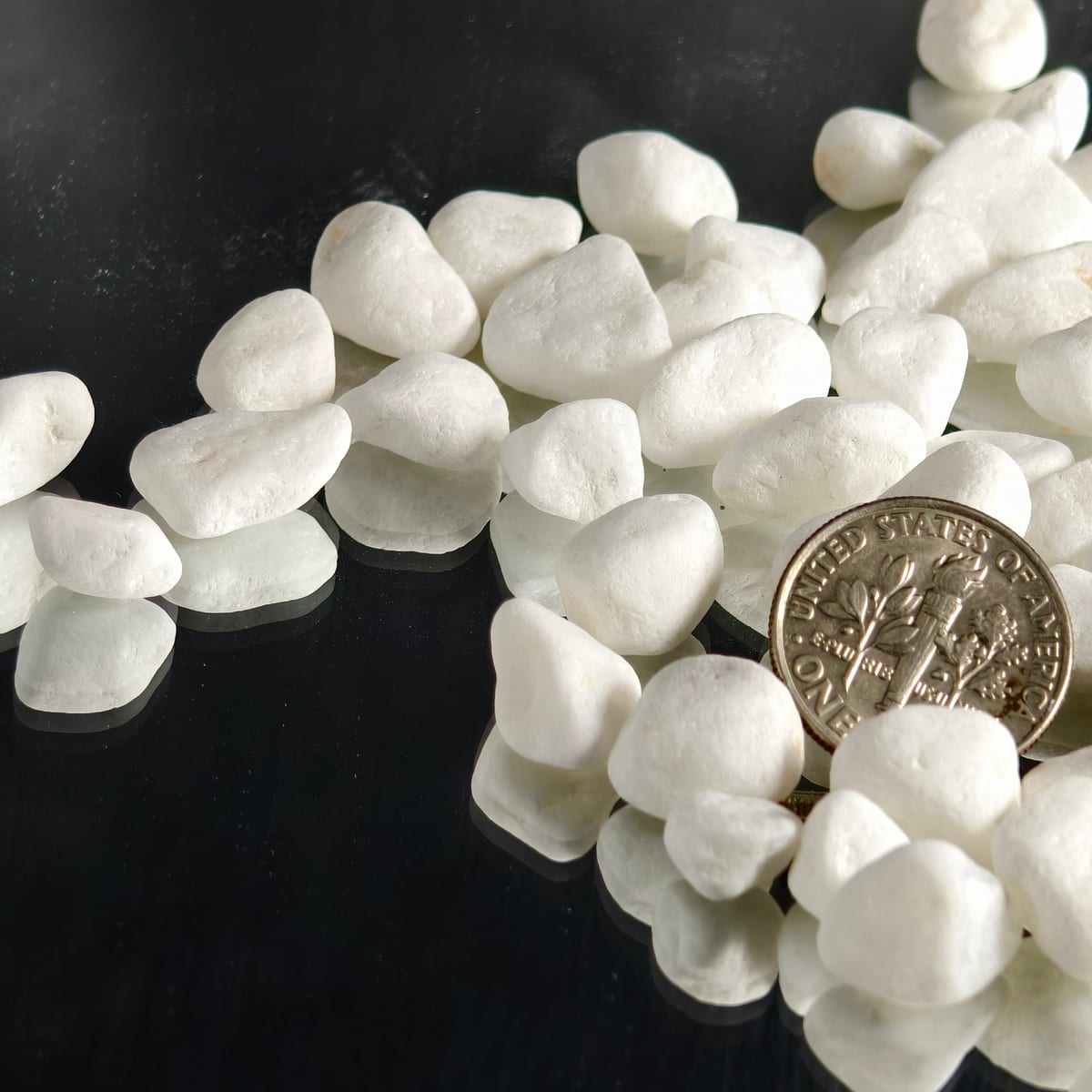 White pebbles shown with a coin for size reference